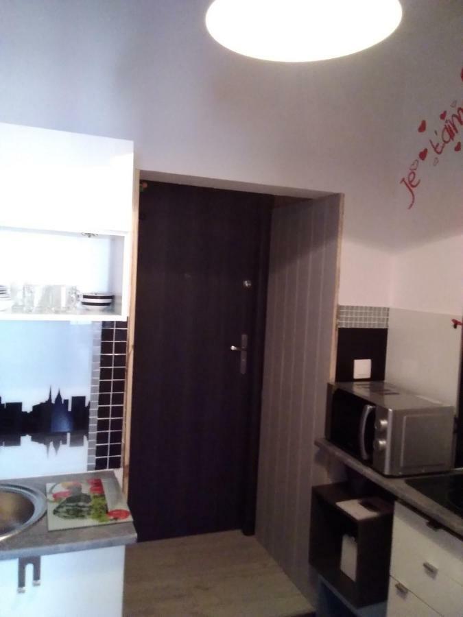Apartment Beautiful Torun
